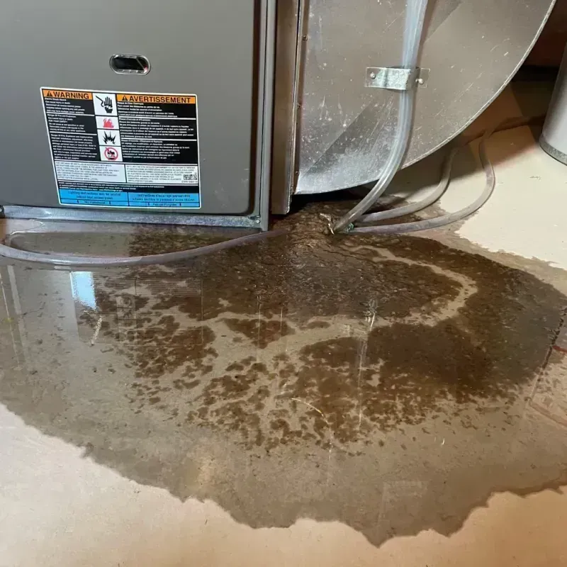 Appliance Leak Cleanup in Shelbyville, IL